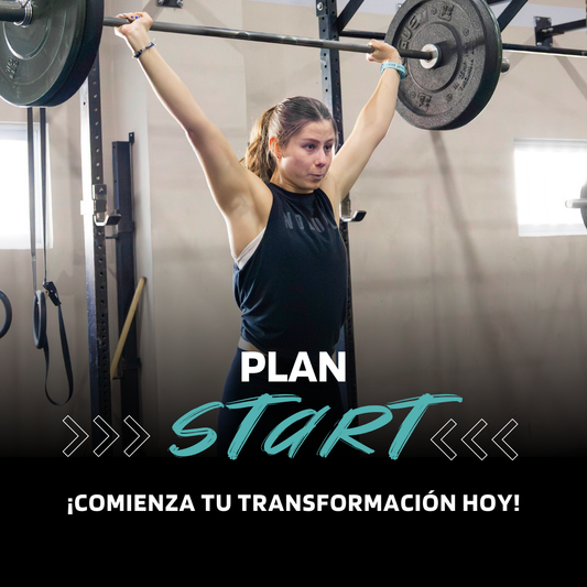 Plan Start