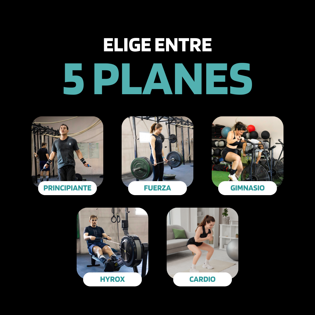 Plan Start