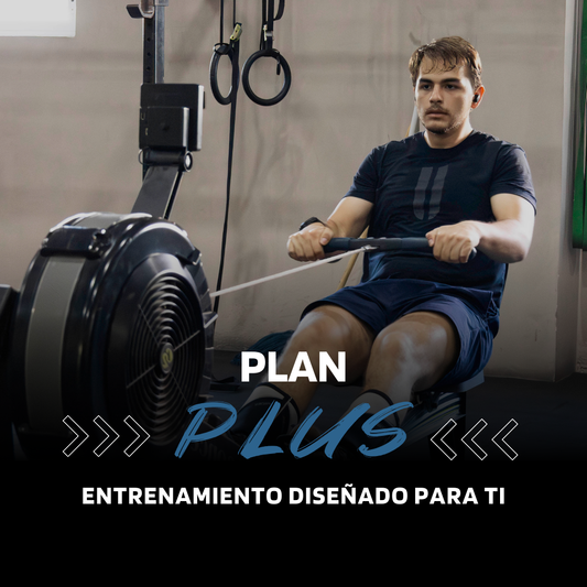 Plan Plus